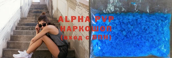 стаф Бородино