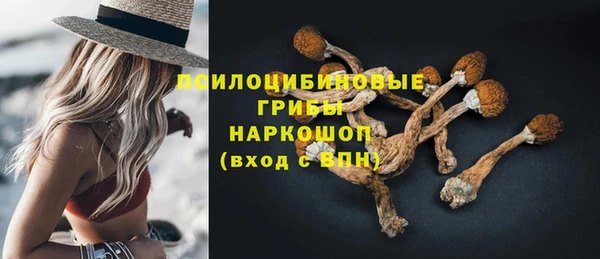 гашик Бугульма