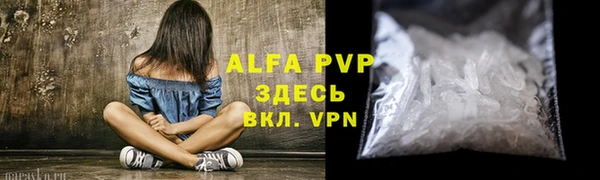 сатива Бронницы