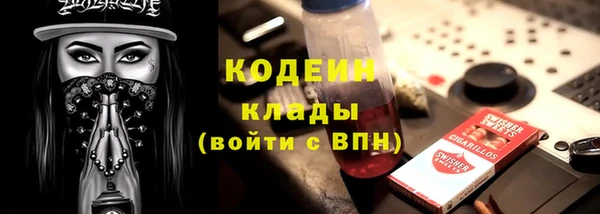 стаф Бородино