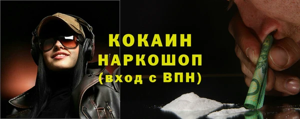 сатива Бронницы