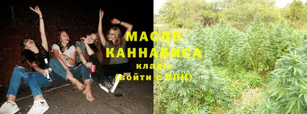 стаф Бородино