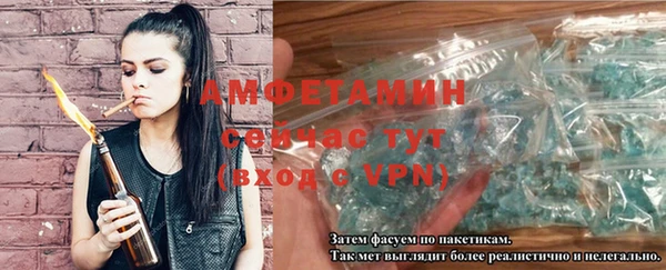 стаф Бородино