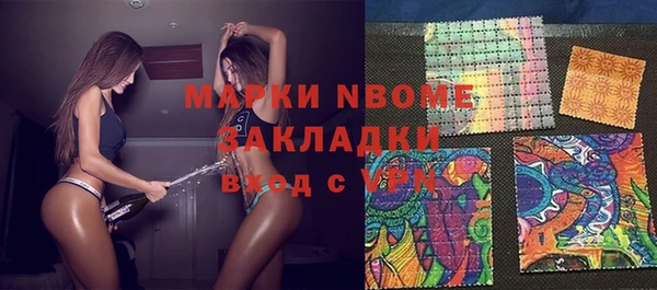 стаф Бородино