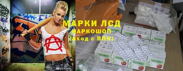 сатива Бронницы