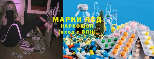 стаф Бородино