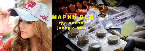 стаф Бородино