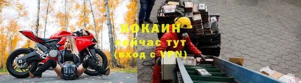 сатива Бронницы