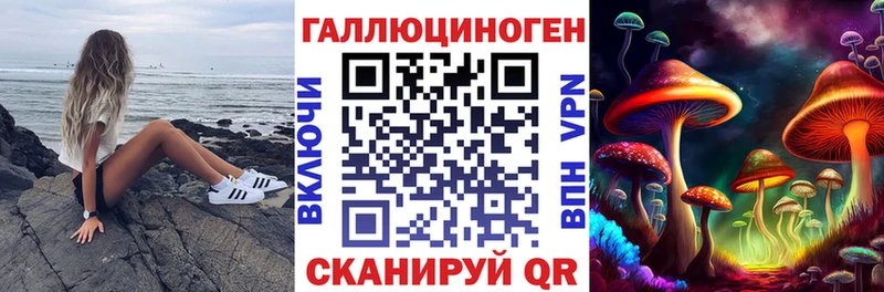 kraken tor  Нижний Новгород  Псилоцибиновые грибы MAGIC MUSHROOMS  цена наркотик 